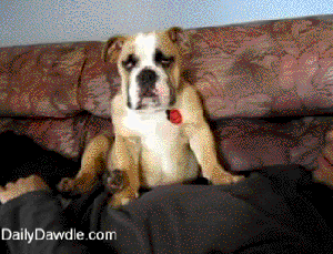 tumblr_n3gqma9Vko1tvs3v3o1_400