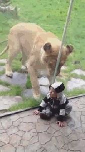 tumblr_n464gbGhQr1toxnu4o2_r1_250