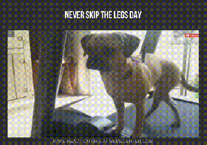 tumblr_n60b0pMbMK1rkallao1_1280