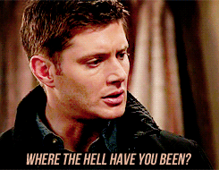 tumblr_lt3wfhu64o1qbpn58