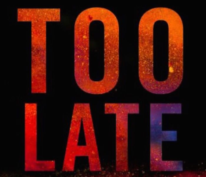 Too Late by Colleen Hoover