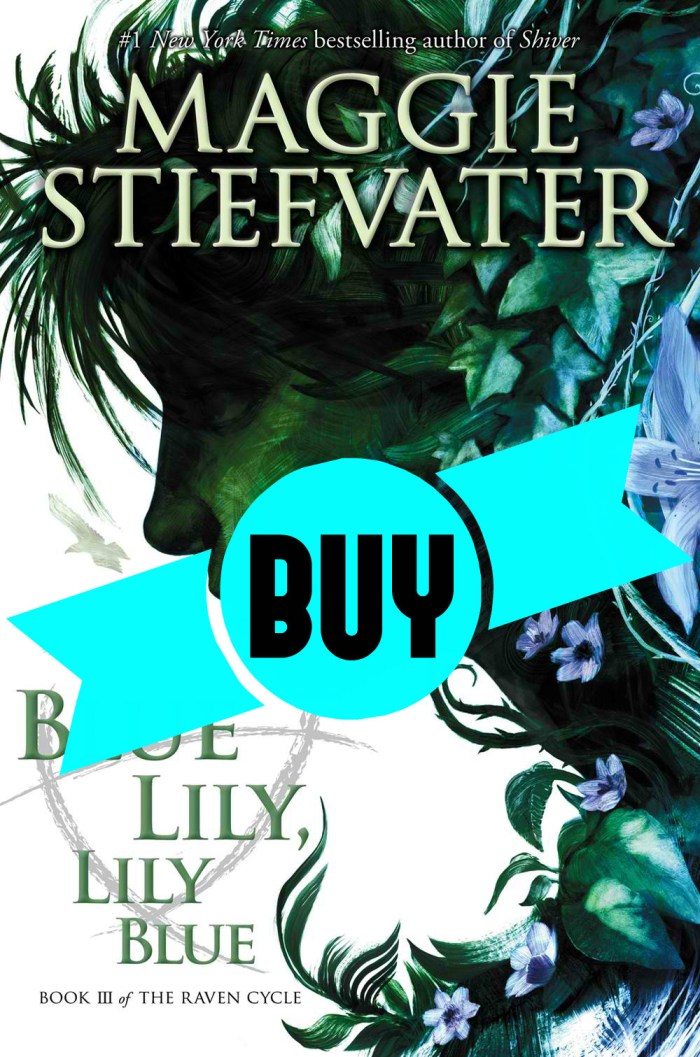 'Blue Lily, Lily Blue Book' Review